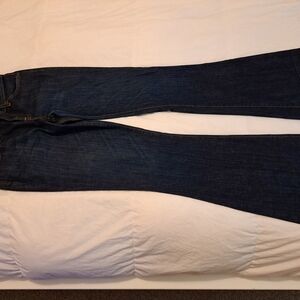 Vizcaino Jeans Sz 27 Blue EUC 5 Pkts Flared